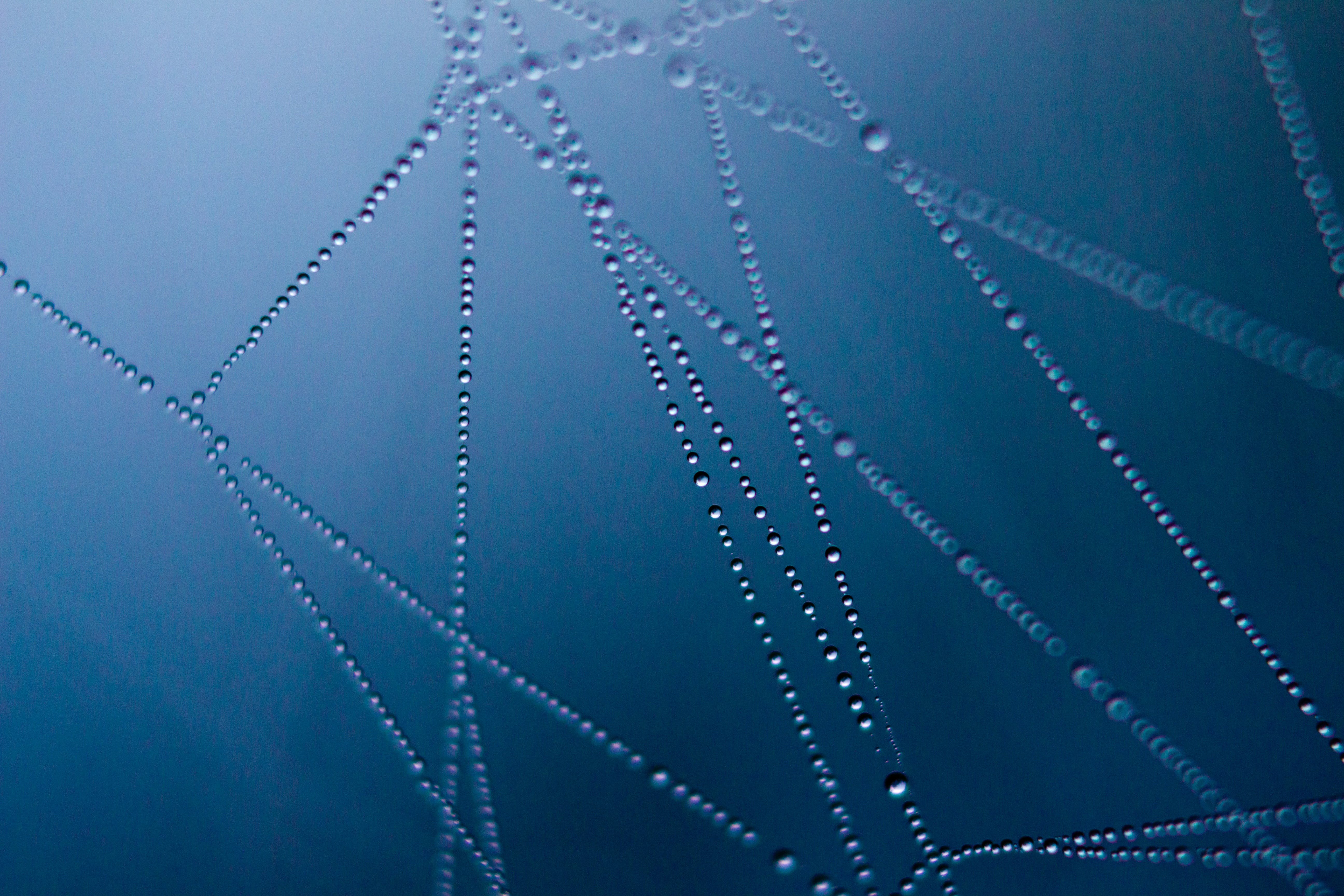 Choosing the Right Web Hosting: A Non-Technical Guide